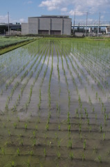 水の季節