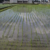 水の季節