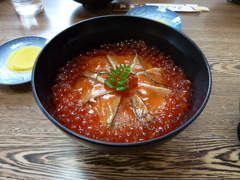 海の親子に感謝