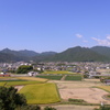 秋晴れの田園