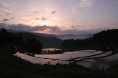 朝を映して