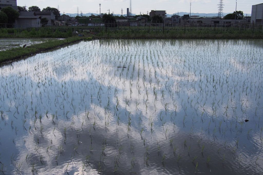 そらと雲の下で