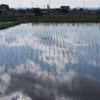 そらと雲の下で