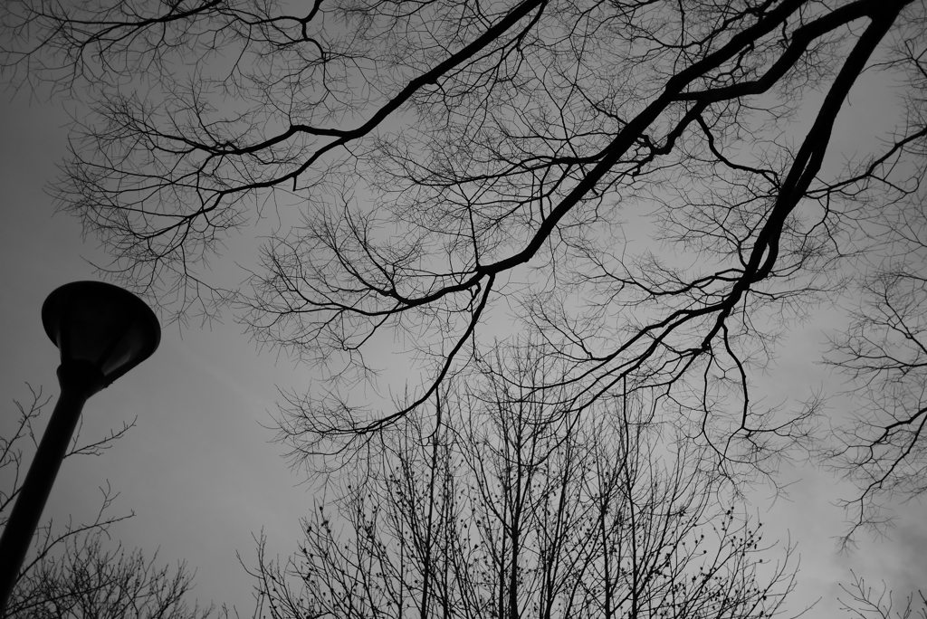 空