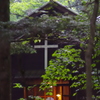 森の十字架