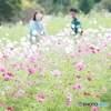 in the Flower Field