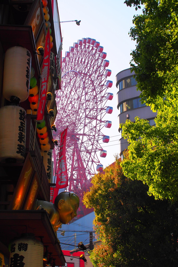 横綱 #2