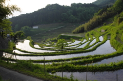 緑の国