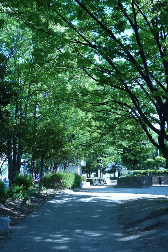 BLUE GREEN