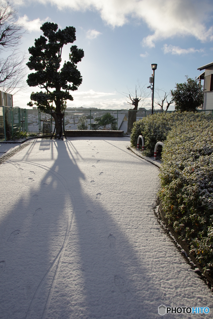 雪朝寸景#1_伸びる影