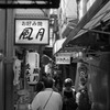 風月