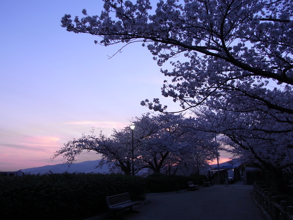 暮空