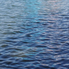 追憶のblue