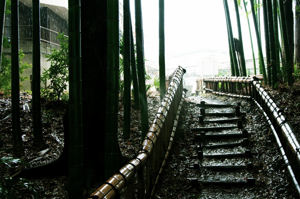 stairs