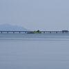 夏タンゴ