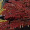 燃え上がる