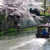 春の八幡堀