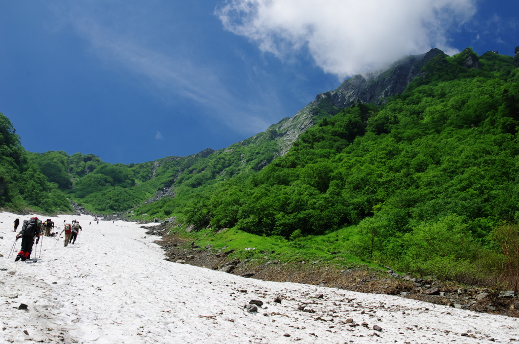 夏山のきらめき　