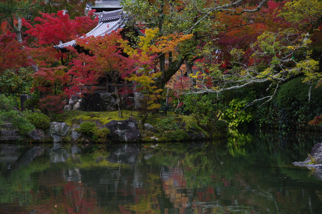 京都紅葉便りⅢ