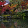 京都紅葉便りⅢ