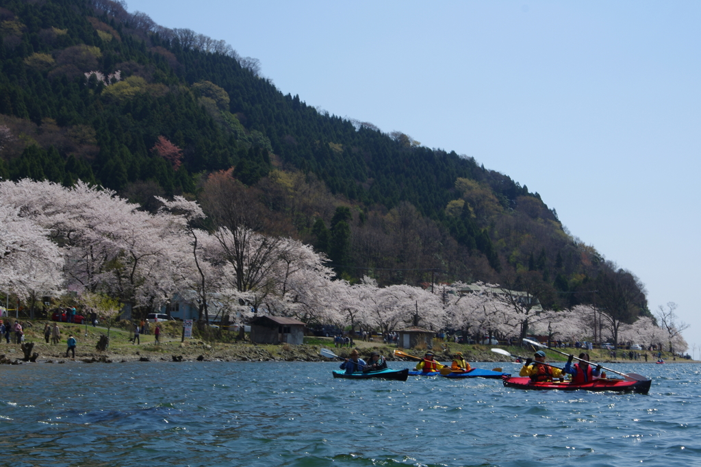 海津大崎　お花見カヌー2013　②