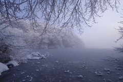 凍湖の朝