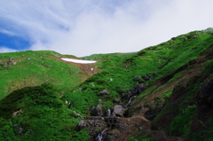 夏山の賑わい
