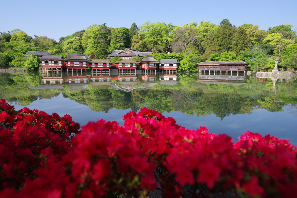 初夏の彩り