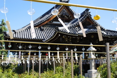 風鈴まつり