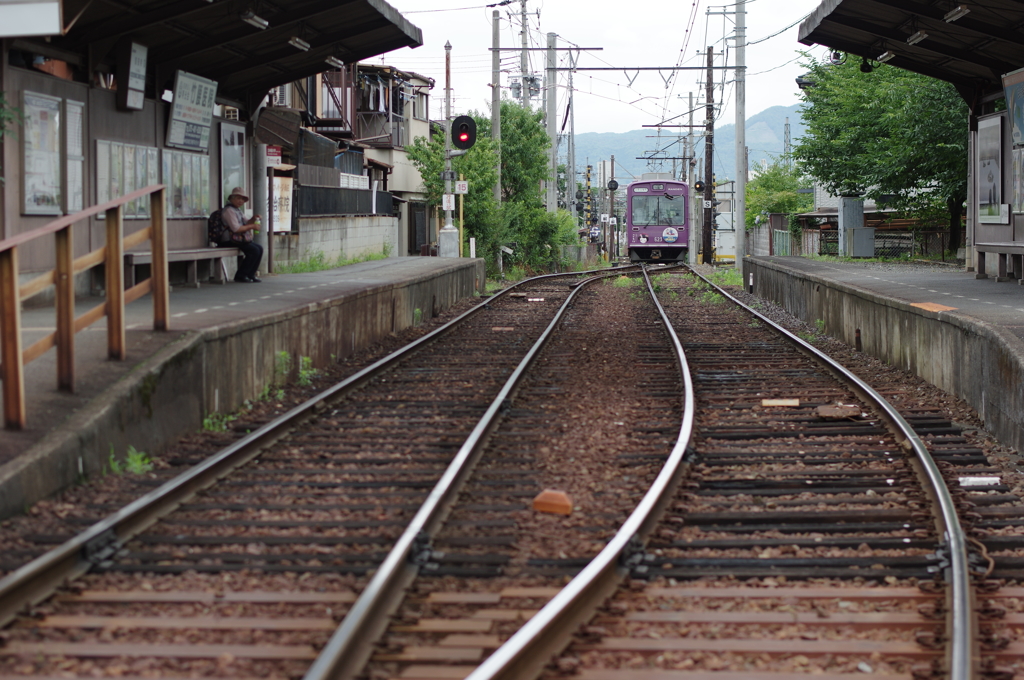 嵐電のある風景