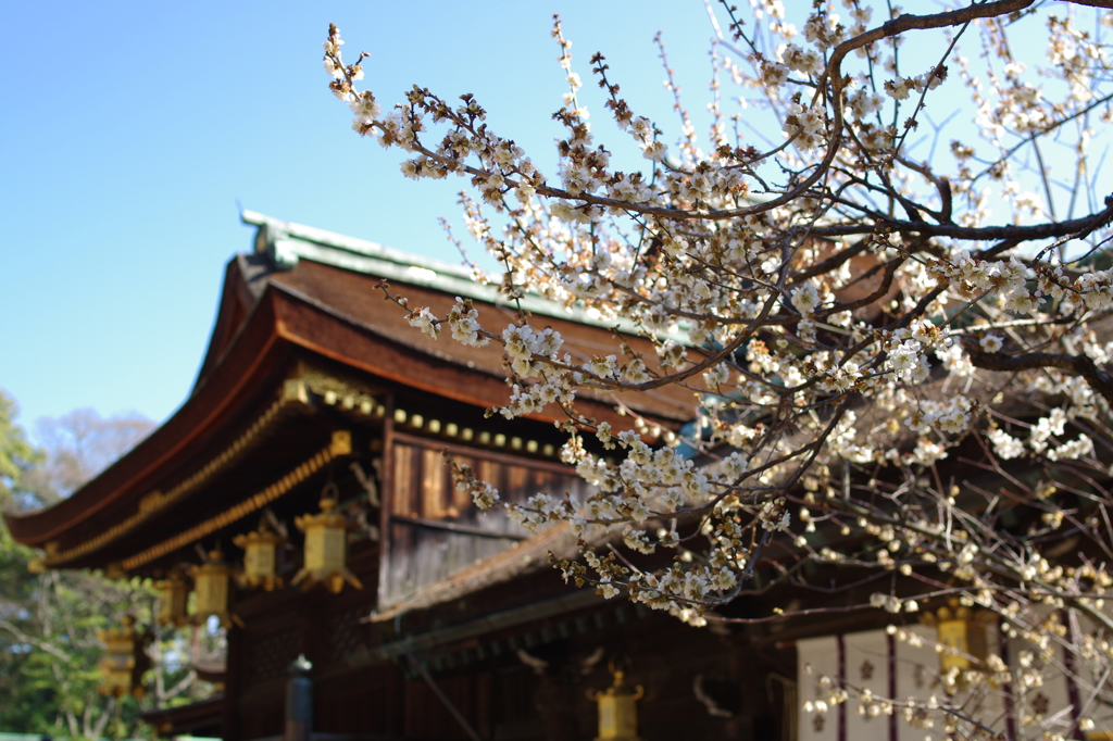 お礼参り