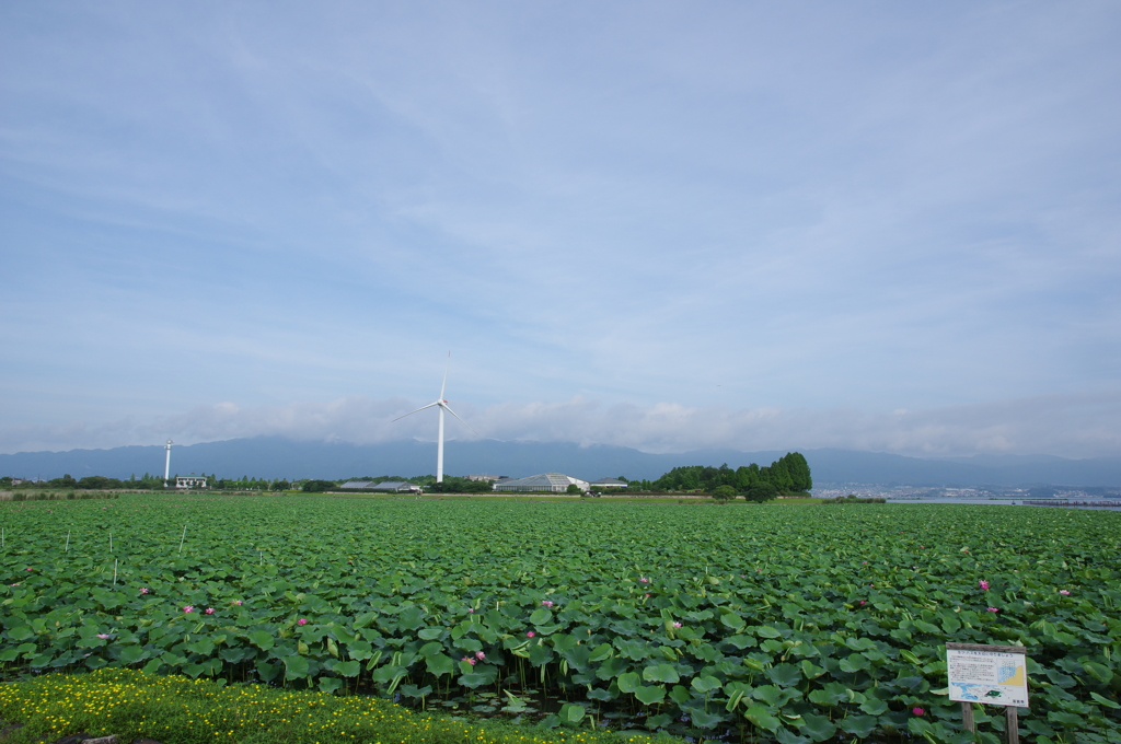 琵琶湖の自慢