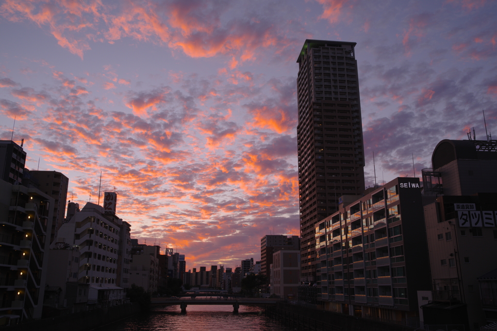 道頓堀川の夕景