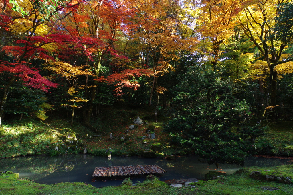 小さな琵琶湖の紅葉