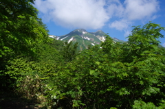 美しき山容　/  　7月の白山