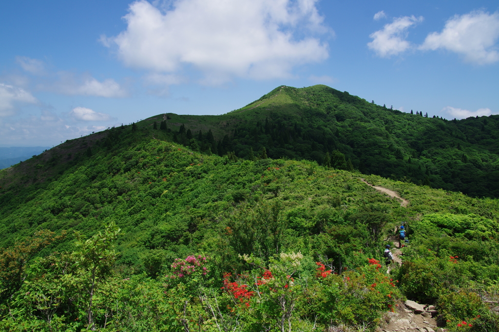 夏山へ向けて②