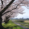 春の風景 Ⅳ