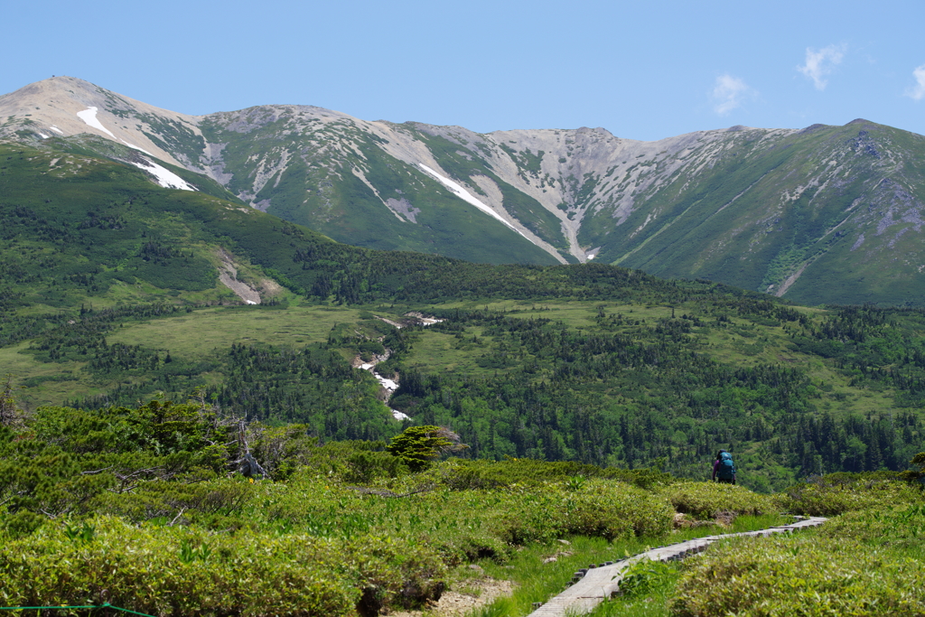 夏山へむかう