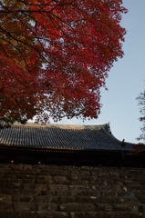 神護寺