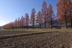 マキノの青い空