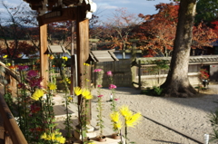 秋の大覚寺と大沢池
