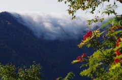 滝雲とナナカマド