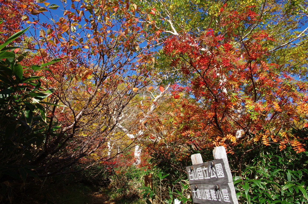 白山　大倉山避難小屋