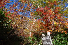 白山　大倉山避難小屋