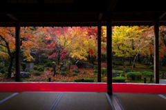 圓光寺、雨のあと