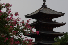 夏のおわりに①