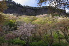 宴のあと