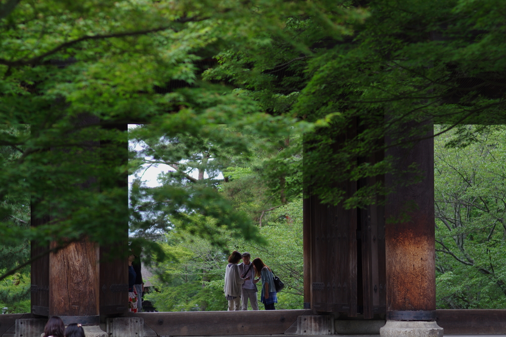 ６月の京都①
