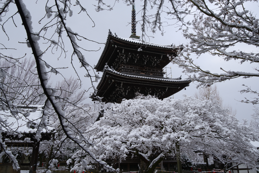 三重塔、雪の朝