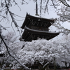 三重塔、雪の朝